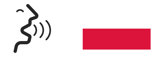 Język wystąpienia LEI Polska